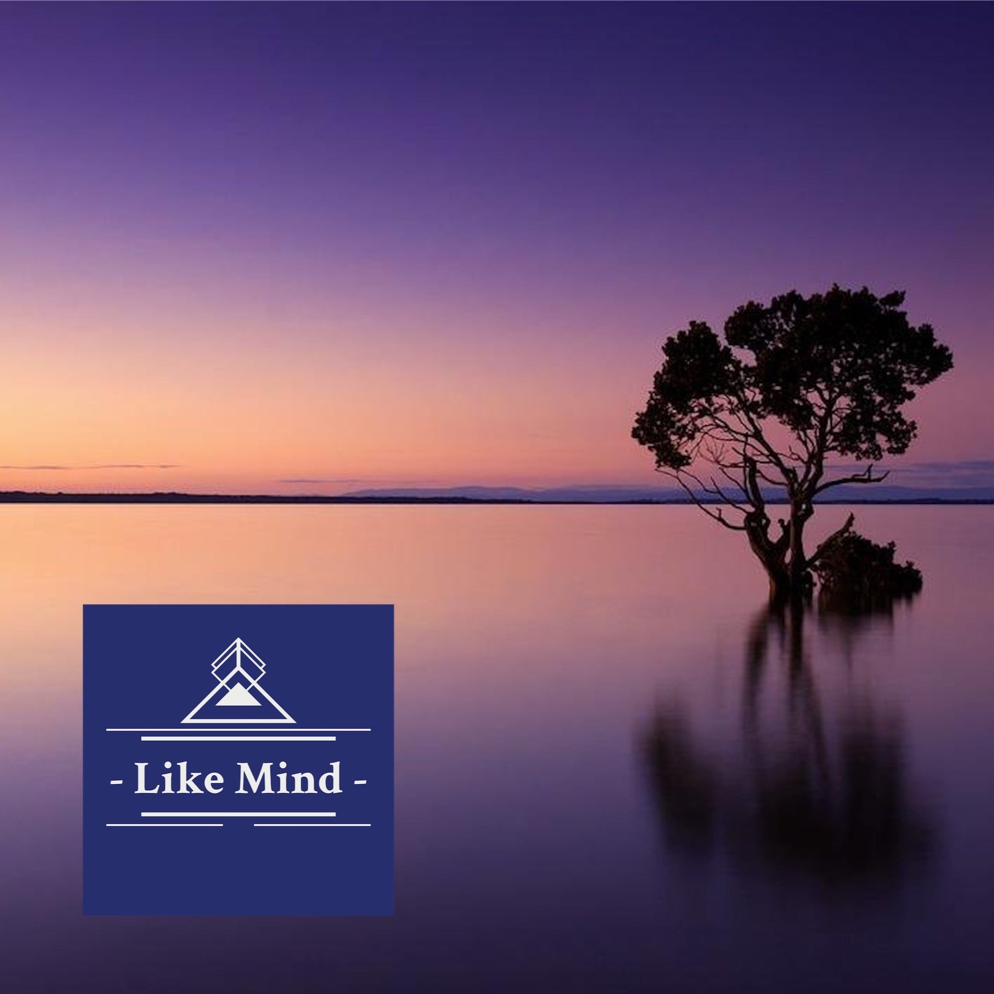 Like Mind 